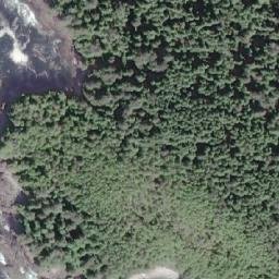 Satellite imagery of Racoon Point, CA