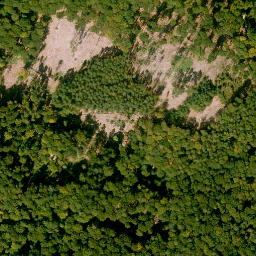 Satellite imagery of Hockenbuckel, DE