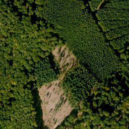 Satellite imagery of Hockenbuckel, DE