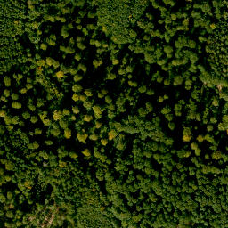 Satellite imagery of Hockenbuckel, DE