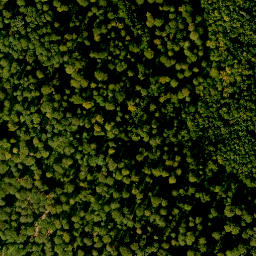 Satellite imagery of Kreuzberg, DE