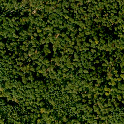 Satellite imagery of Miesberg, DE