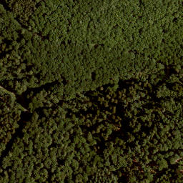 Satellite imagery of Küppel, DE