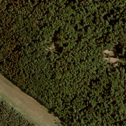 Satellite imagery of Rothenberg, DE