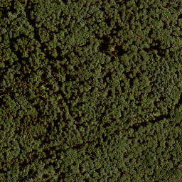 Satellite imagery of Rothenberg, DE