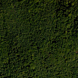 Satellite imagery of Steinberg, DE