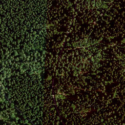 Satellite imagery of Kösseine, DE