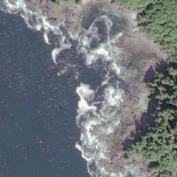 Satellite imagery of Racoon Point, CA
