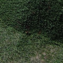 Satellite imagery of Tillicum Mountain, CA
