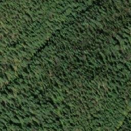 Satellite imagery of Mount Payne, CA