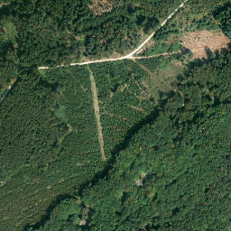 Satellite imagery of Auerhahnkopf, DE