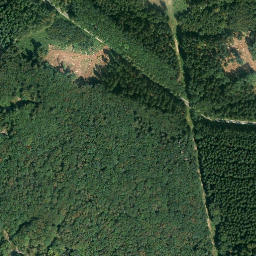 Satellite imagery of Auerhahnkopf, DE
