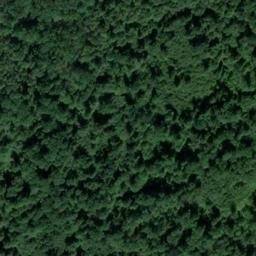 Satellite imagery of Schloß Wolfsgarten, DE