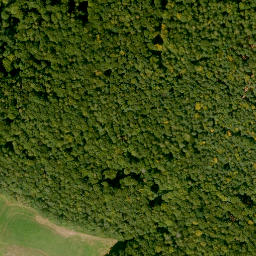 Satellite imagery of Hockenbuckel, DE