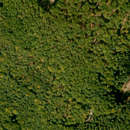 Satellite imagery of Hockenbuckel, DE