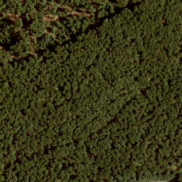 Satellite imagery of Küppel, DE