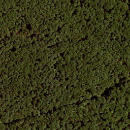 Satellite imagery of Küppel, DE