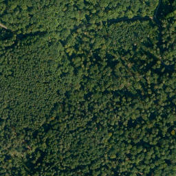 Satellite imagery of Stiefenberg, DE