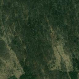 Satellite imagery of (Sosnovský les) [Sosnová], CZ