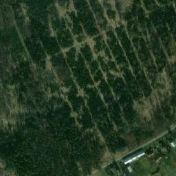 Satellite imagery of (Sosnovský les) [Sosnová], CZ