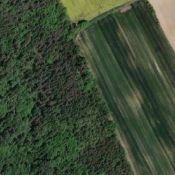 Satellite imagery of (Obora) [Chuchelná], CZ