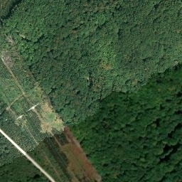 Satellite imagery of Auerhahnkopf, DE