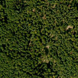 Satellite imagery of Kreuzberg, DE