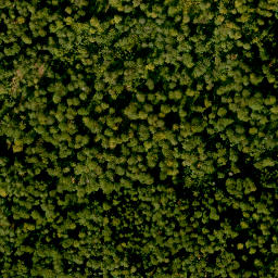 Satellite imagery of Hengstkopf, DE