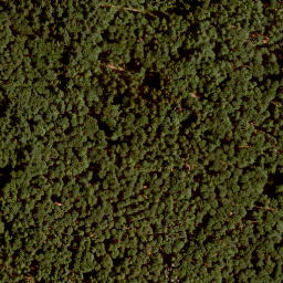 Satellite imagery of Hirschberg, DE