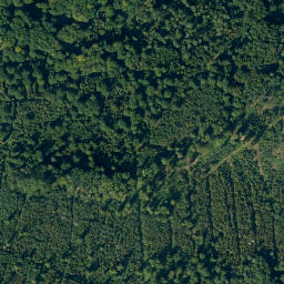 Satellite imagery of Ruhstein, DE