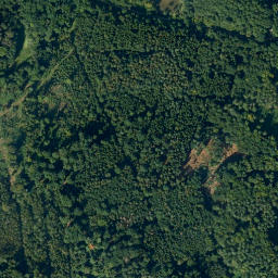 Satellite imagery of Ruhstein, DE