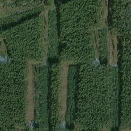 Satellite imagery of Špičák [Nečtiny-Lešovice], CZ