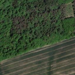 Satellite imagery of [Bělá ve Slezsku] church t., CZ