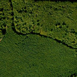 Satellite imagery of Hengstkopf, DE