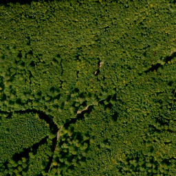 Satellite imagery of Hengstkopf, DE