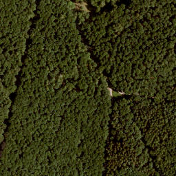 Satellite imagery of Gaulberg, DE