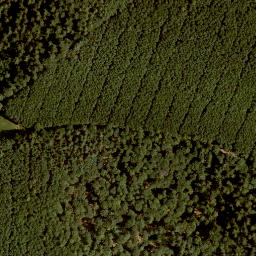 Satellite imagery of Gaulberg, DE