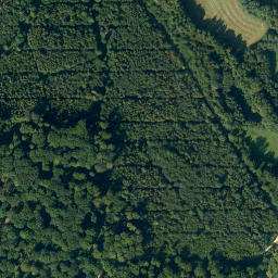 Satellite imagery of Ruhstein, DE