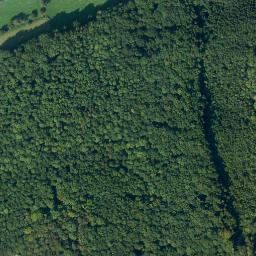 Satellite imagery of Würgauer Herrnholz, DE