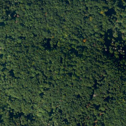 Satellite imagery of Würgauer Herrnholz, DE