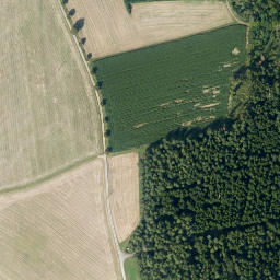 Satellite imagery of Burgstall, DE
