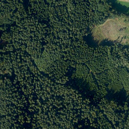 Satellite imagery of Sattelberg, DE