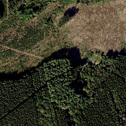Satellite imagery of BE-LU 219a, FR