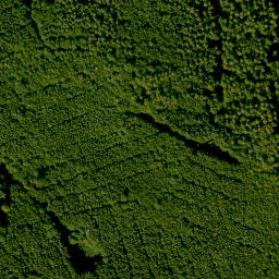 Satellite imagery of Dörnberg, DE