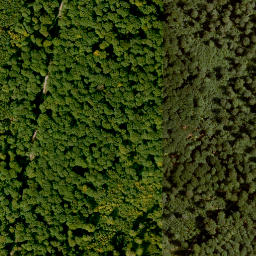 Satellite imagery of Schwarzer Rück, DE