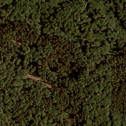 Satellite imagery of Platte, DE