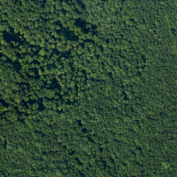 Satellite imagery of Adelsholz, DE