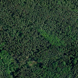 Satellite imagery of Siegesturm, DE