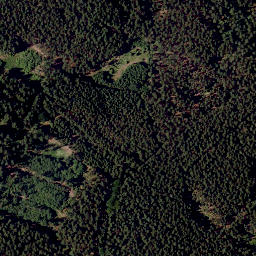 Satellite imagery of TP, CZ