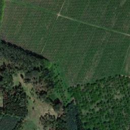 Satellite imagery of [Svinčany] GSM, CZ